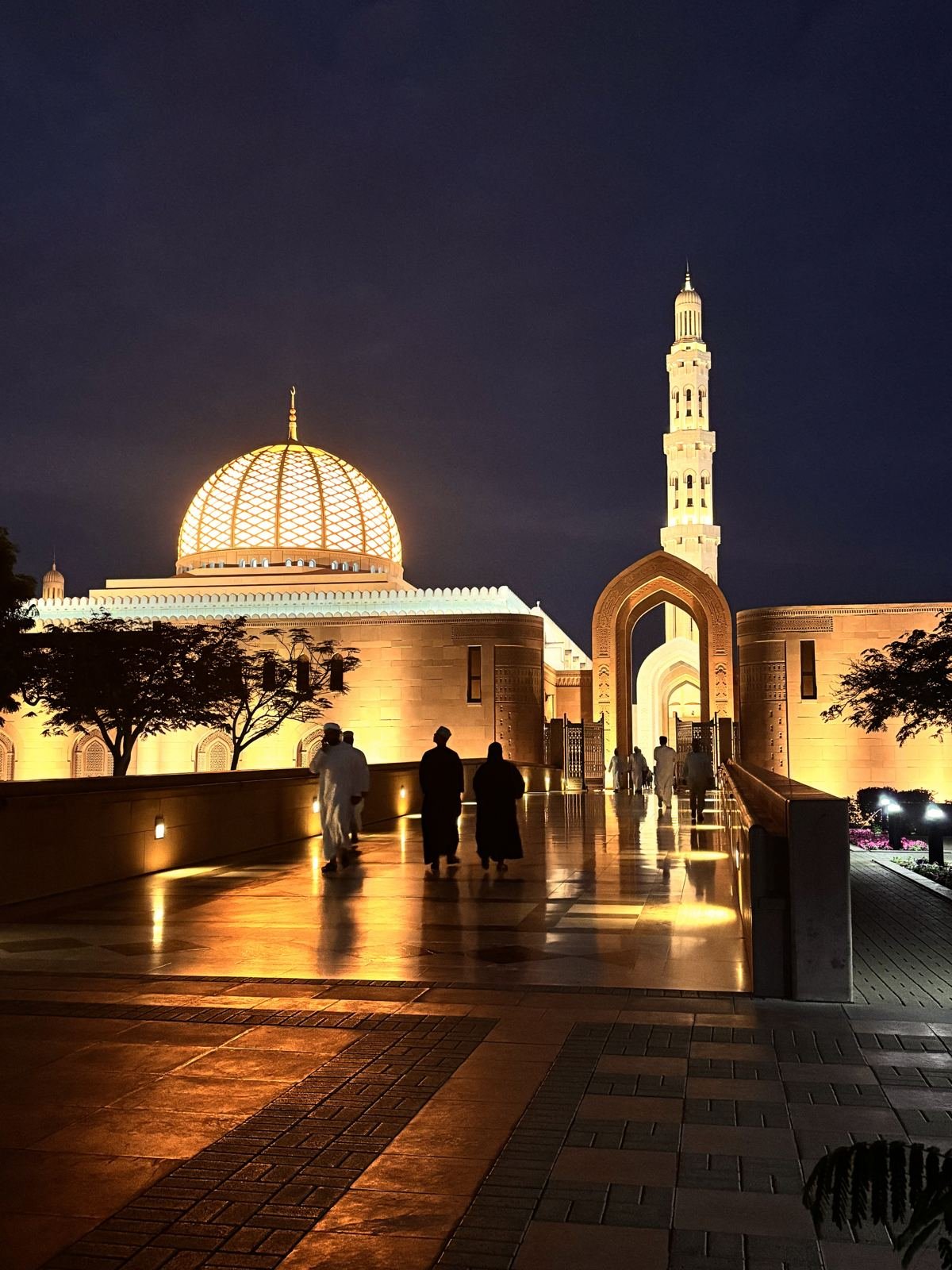 مسقط إكسبريس (للتوقف)، صورة 2