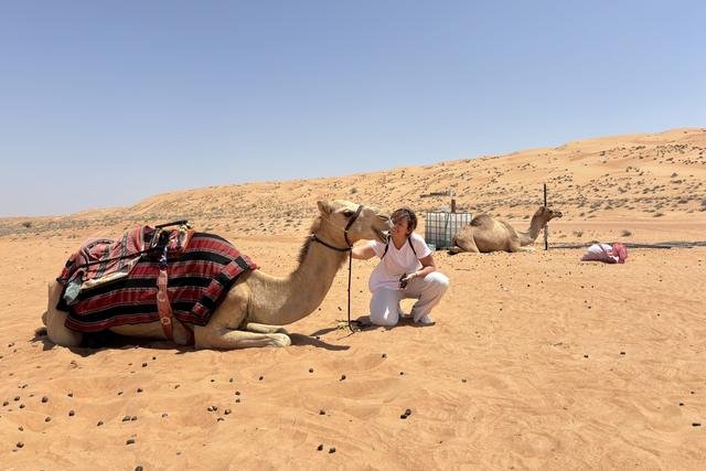 Tout Oman 1