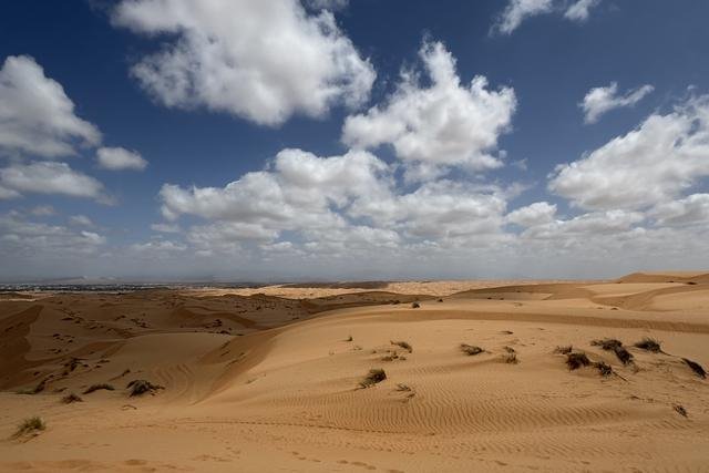 De la costa al desierto (2 días), foto 10