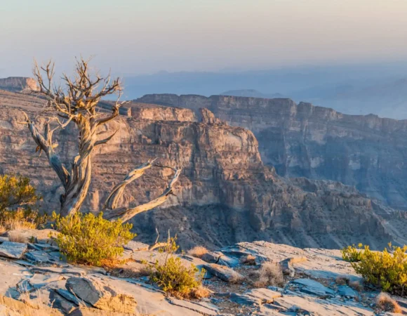 Nizwa & Jebel Shams – Oman’s Grand Canyon Adventure