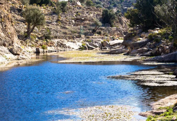 Nizwa & Jebel Akhdar Small Group Tour – Culture & Mountain Escape