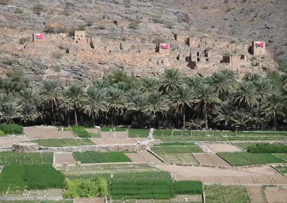 Nizwa & Jebel Shams Small Group Tour – Culture & Mountain Escape