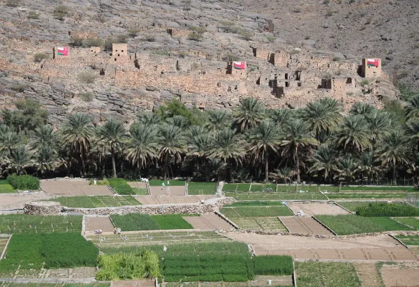 Nizwa & Jebel Shams Small Group Tour – Culture & Mountain Escape